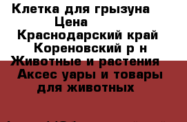 Клетка для грызуна.  › Цена ­ 500 - Краснодарский край, Кореновский р-н Животные и растения » Аксесcуары и товары для животных   